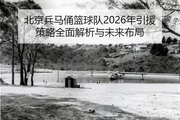 北京兵马俑篮球队2026年引援策略全面解析与未来布局